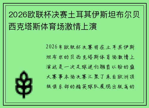 2026欧联杯决赛土耳其伊斯坦布尔贝西克塔斯体育场激情上演