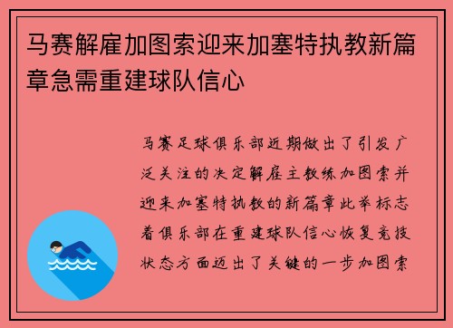 马赛解雇加图索迎来加塞特执教新篇章急需重建球队信心